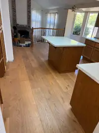 LVP Installation in Antelope